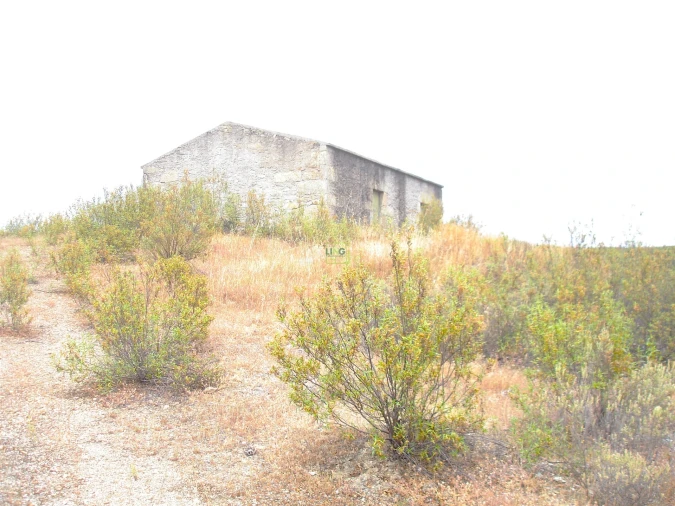 Quinta T0 para Venda em Ninho do Açor e Sobral do Campo Foto 5