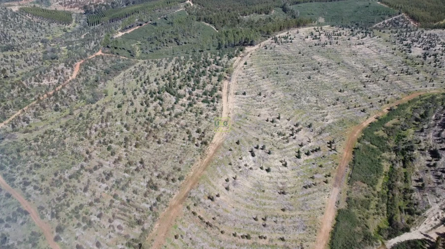 Quinta T0 para Venda em Ninho do Açor e Sobral do Campo Foto 7