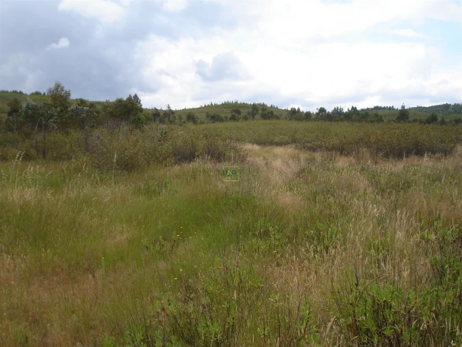 Quinta T0 para Venda em Ninho do Açor e Sobral do Campo Foto 2