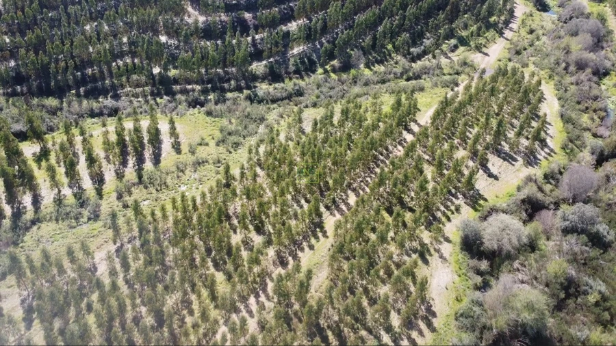 Quinta T0 para Venda em Ninho do Açor e Sobral do Campo Foto 9