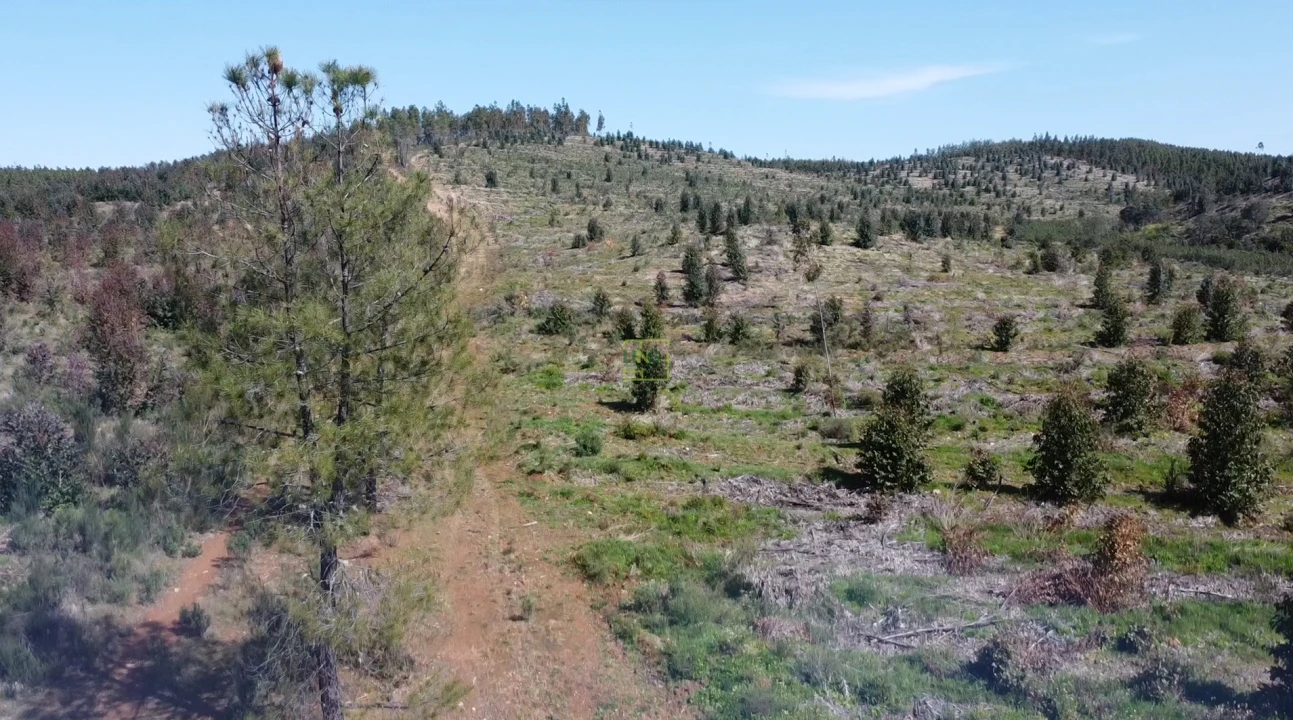 Quinta T0 para Venda em Ninho do Açor e Sobral do Campo Foto 6