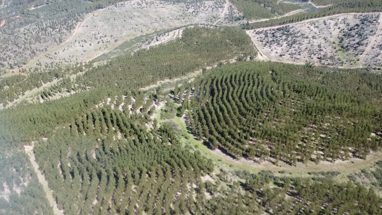Quinta T0 para Venda em Ninho do Açor e Sobral do Campo Foto 8