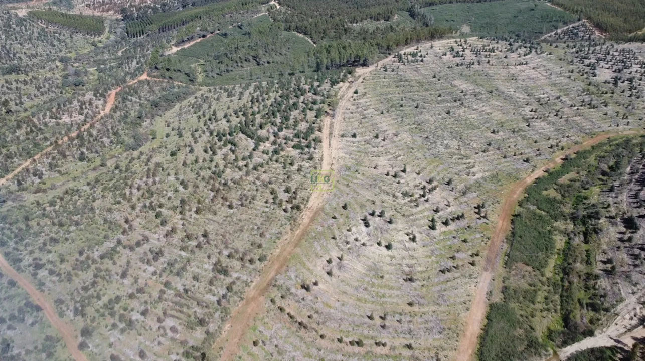 Quinta T0 para Venda em Ninho do Açor e Sobral do Campo Foto 7