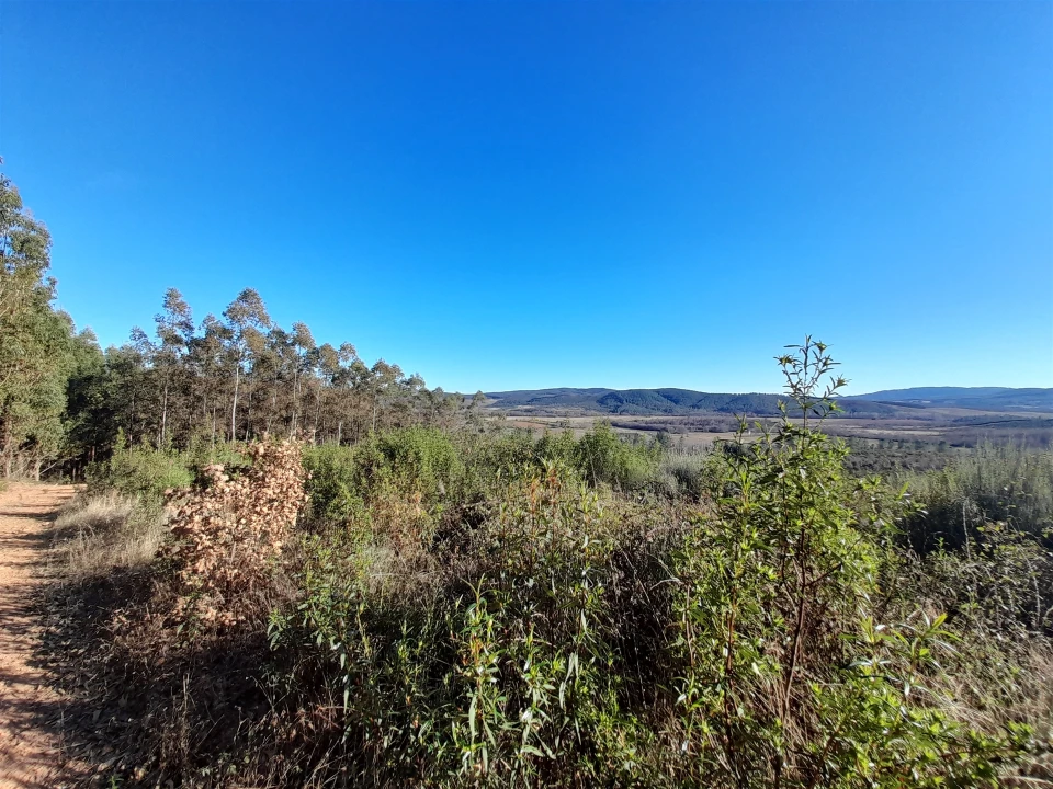 Quinta T0 para Venda em Capinha Foto 12