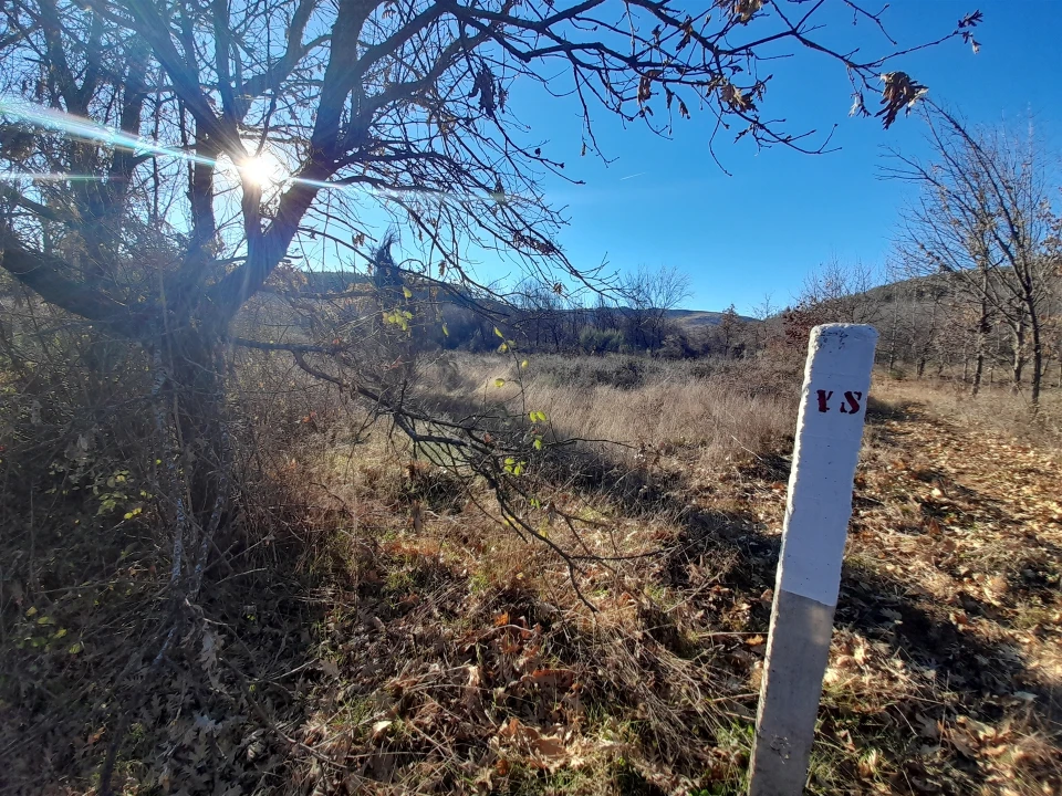 Quinta T0 para Venda em Capinha Foto 29