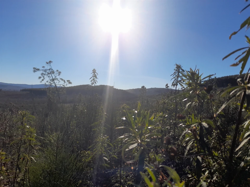 Quinta T0 para Venda em Capinha Foto 7