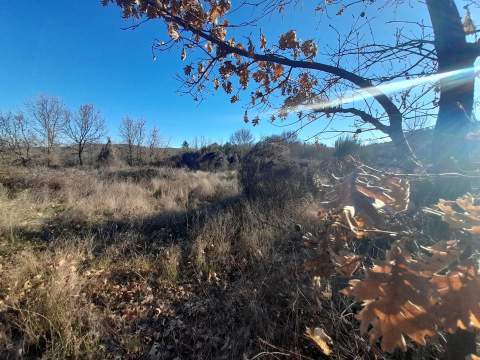 Quinta T0 para Venda em Capinha Foto 26