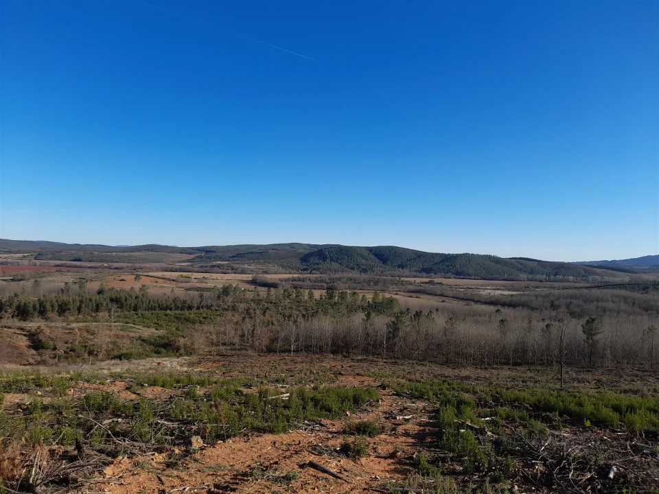 Quinta T0 para Venda em Capinha Foto 23