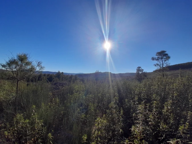 Quinta T0 para Venda em Capinha Foto 5