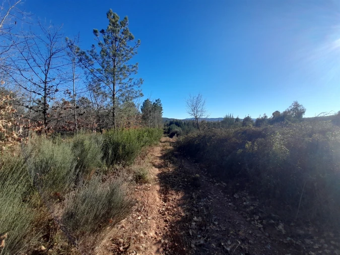 Quinta T0 para Venda em Capinha Foto 2
