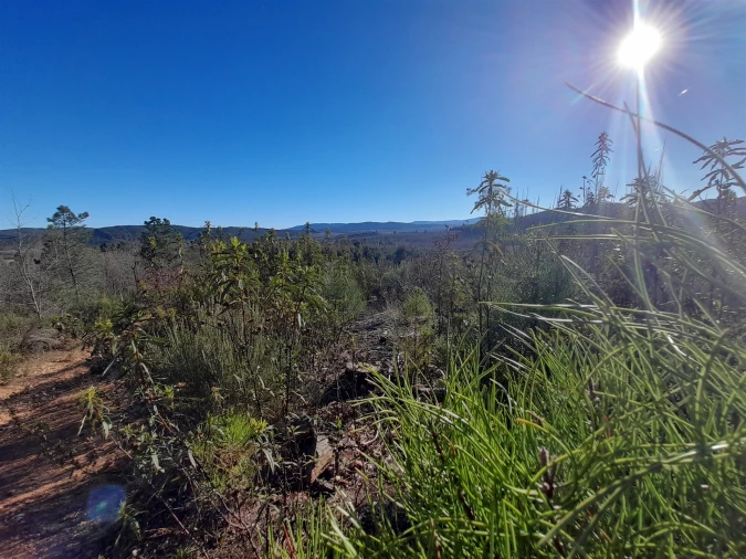 Quinta T0 para Venda em Capinha Foto 8