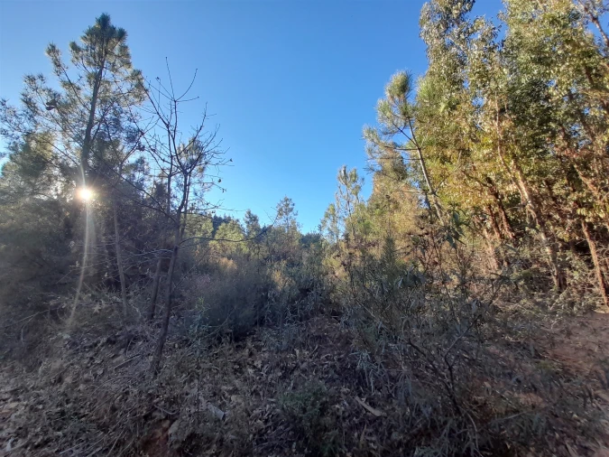 Quinta T0 para Venda em Capinha Foto 18