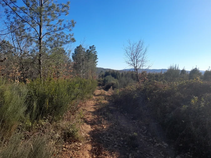 Quinta T0 para Venda em Capinha Foto 3