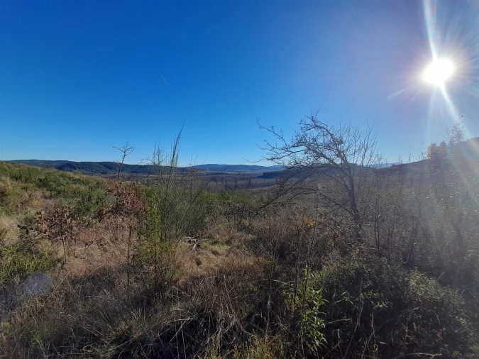 Quinta T0 para Venda em Capinha Foto 16