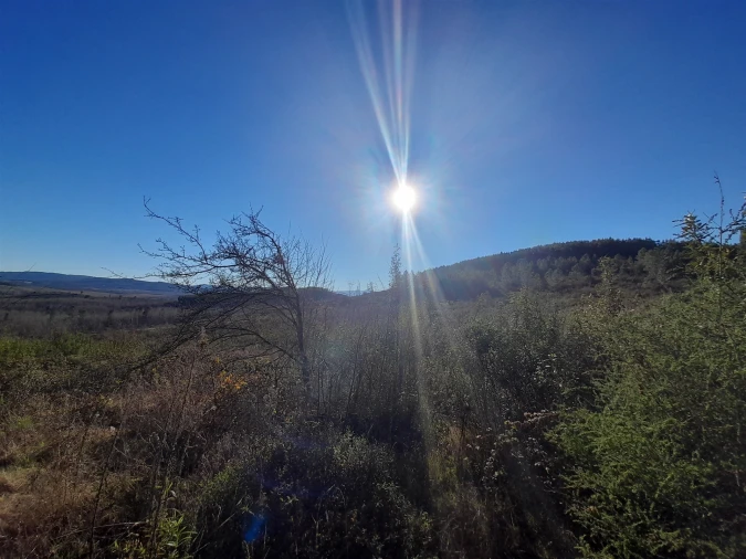 Quinta T0 para Venda em Capinha Foto 17