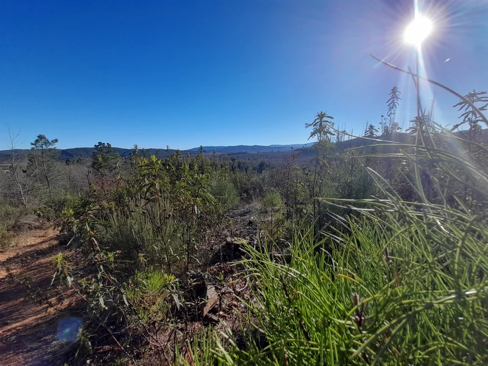 Quinta T0 para Venda em Capinha Foto 8