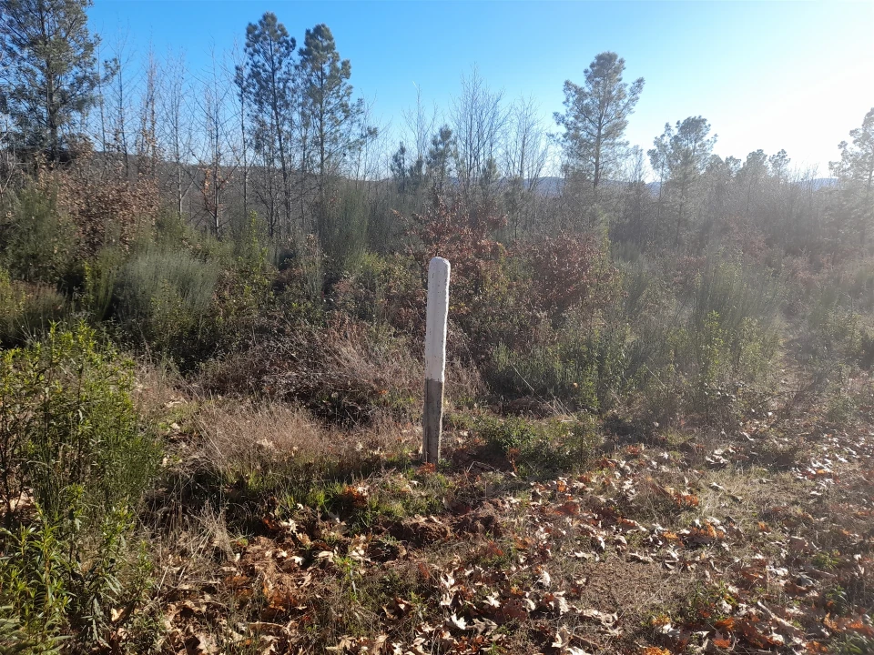 Quinta T0 para Venda em Capinha Foto 15