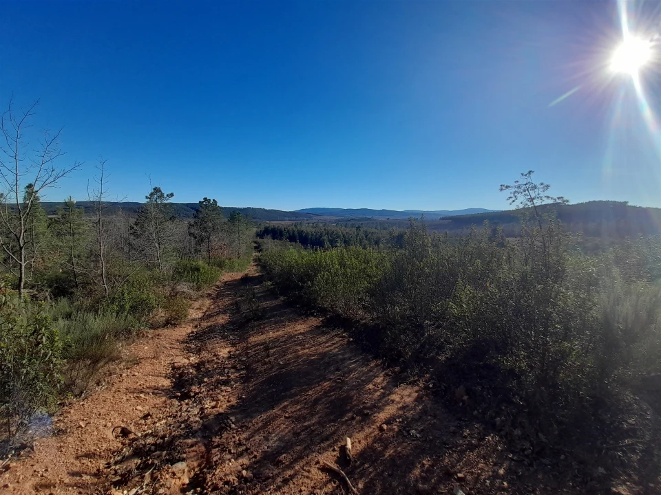 Quinta T0 para Venda em Capinha Foto 6