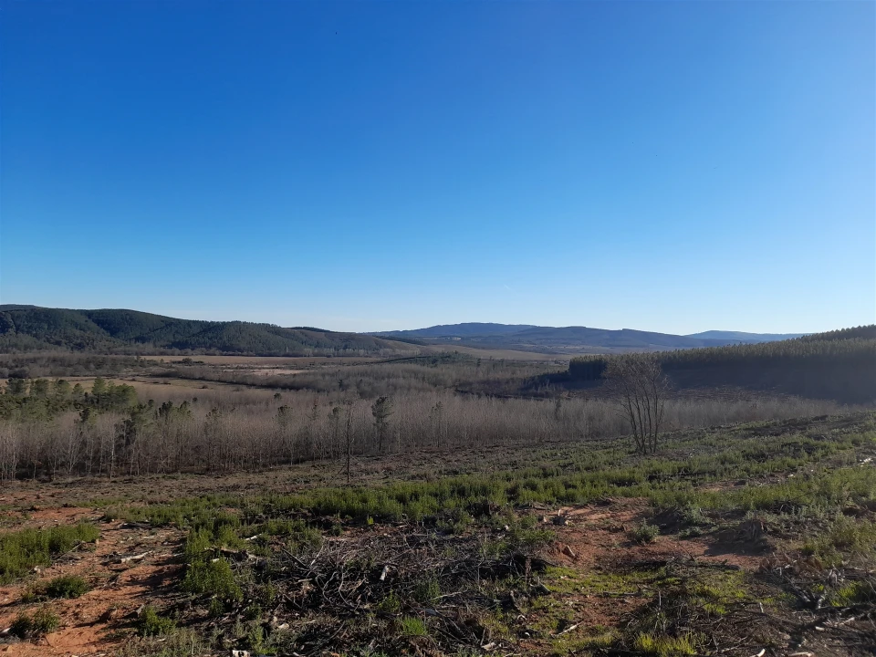 Quinta T0 para Venda em Capinha Foto 24