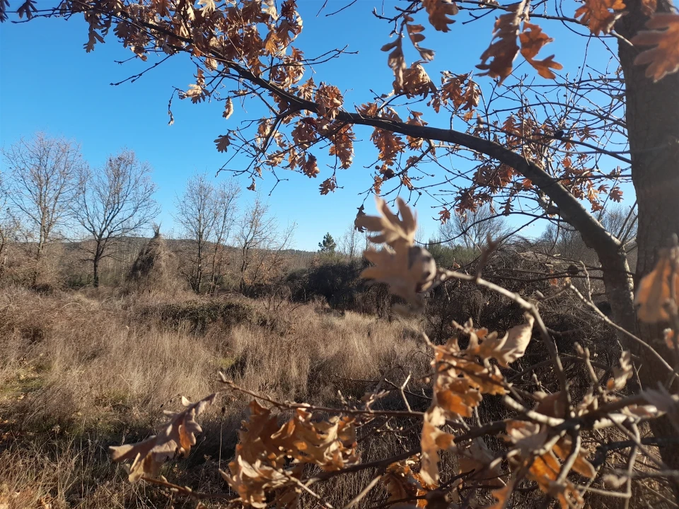 Quinta T0 para Venda em Capinha Foto 27