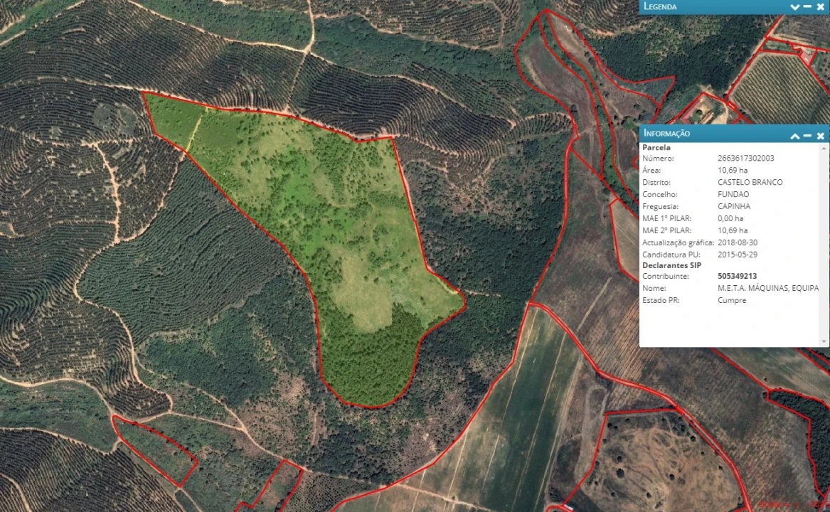 Quinta T0 para Venda em Capinha Foto 30