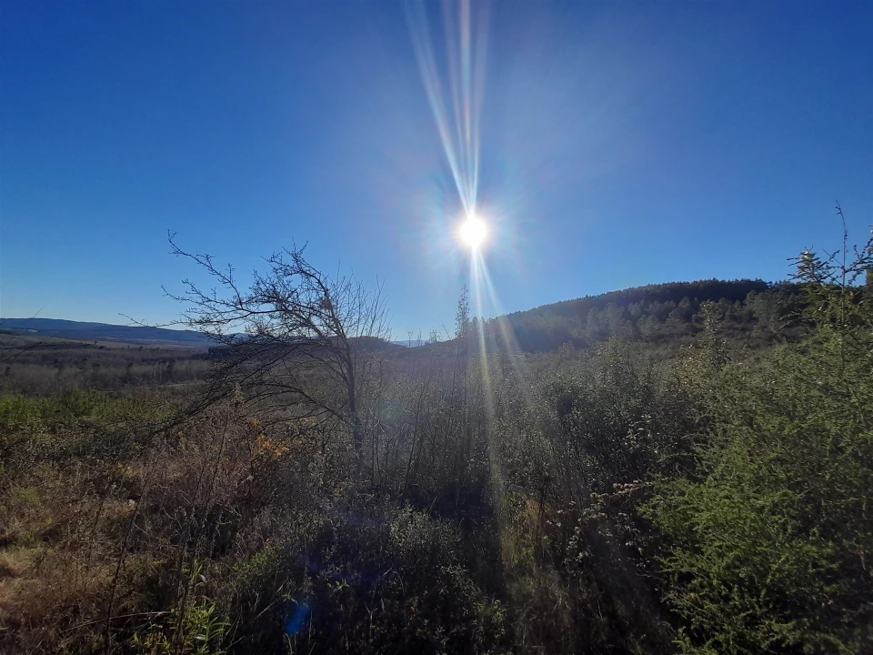 Quinta T0 para Venda em Capinha Foto 17