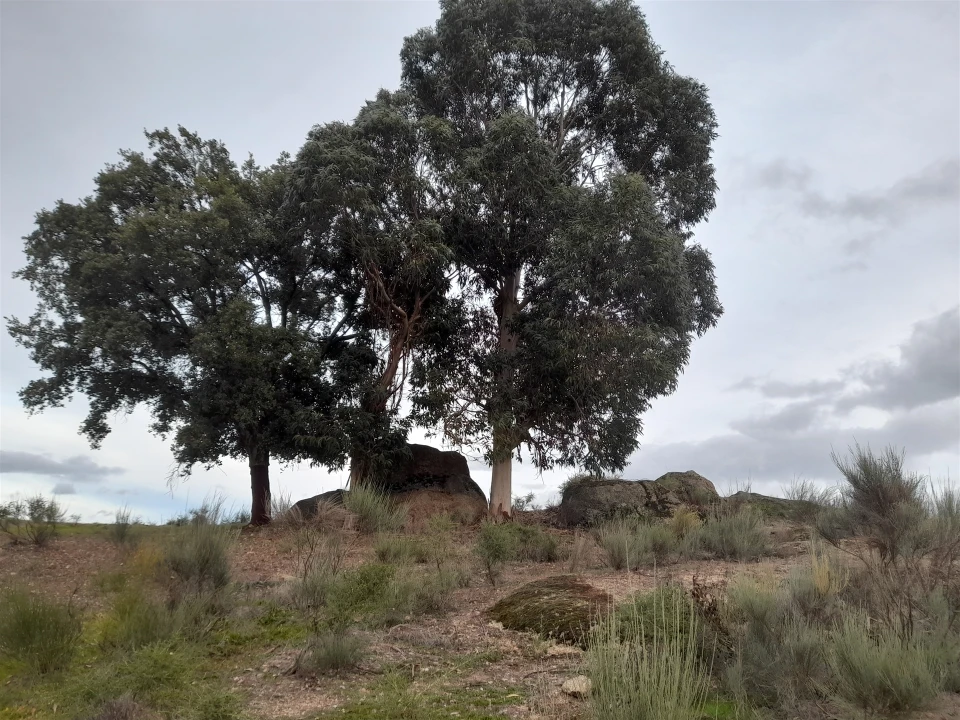 Quinta T0 para Venda em Póvoa de Rio de Moinhos e Cafede Foto 8