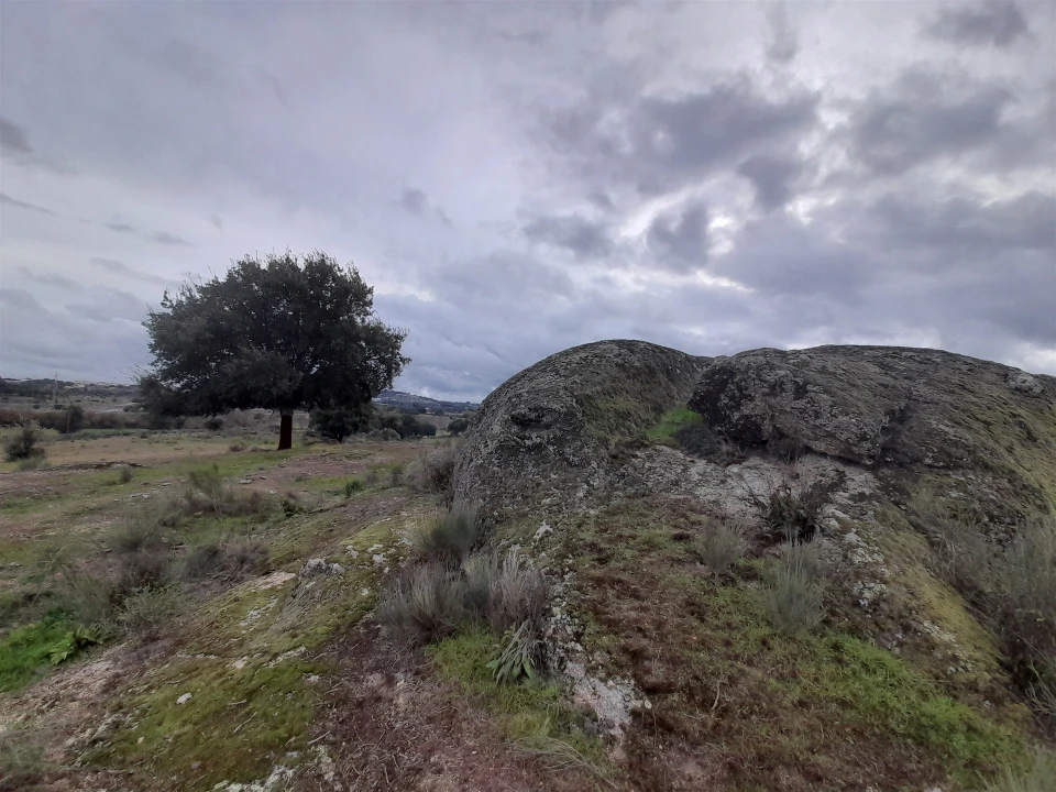 Quinta T0 para Venda em Póvoa de Rio de Moinhos e Cafede Foto 15