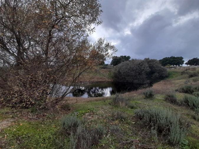 Quinta T0 para Venda em Póvoa de Rio de Moinhos e Cafede Foto 18