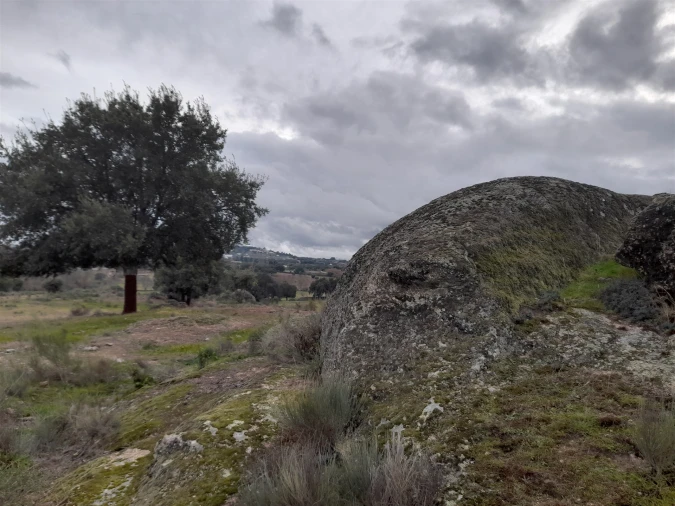 Quinta T0 para Venda em Póvoa de Rio de Moinhos e Cafede Foto 14