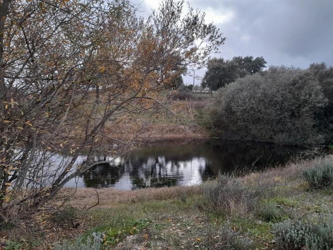 Quinta T0 para Venda em Póvoa de Rio de Moinhos e Cafede Foto 17