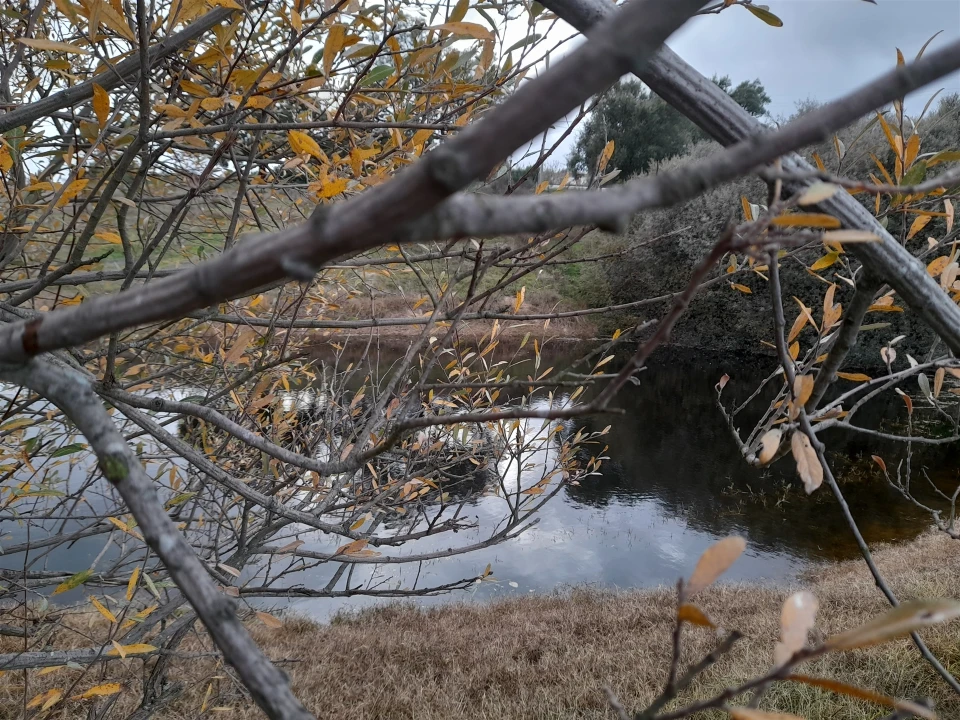 Quinta T0 para Venda em Póvoa de Rio de Moinhos e Cafede Foto 1