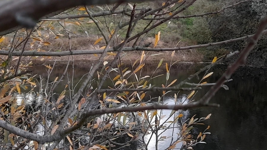 Quinta T0 para Venda em Póvoa de Rio de Moinhos e Cafede