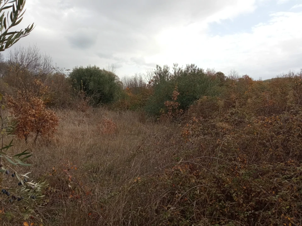 Quinta T0 para Venda em Vale da Senhora da Povoa Foto 6