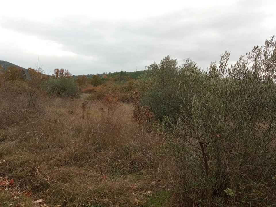 Quinta T0 para Venda em Vale da Senhora da Povoa Foto 20