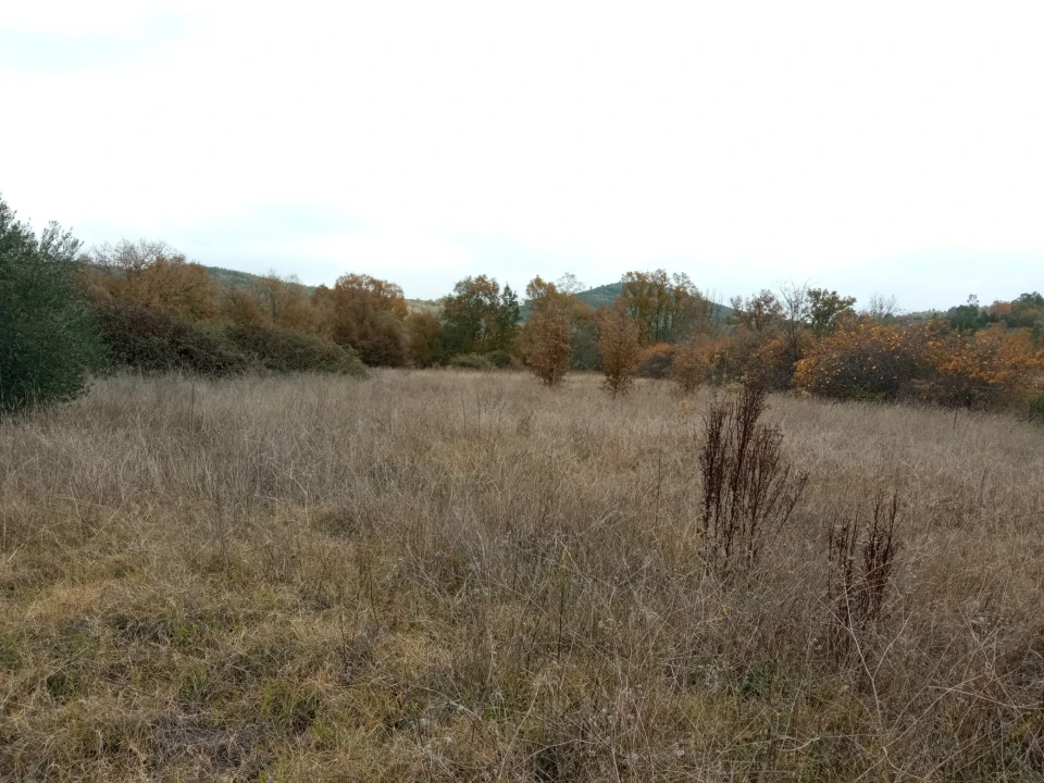 Quinta T0 para Venda em Vale da Senhora da Povoa Foto 4