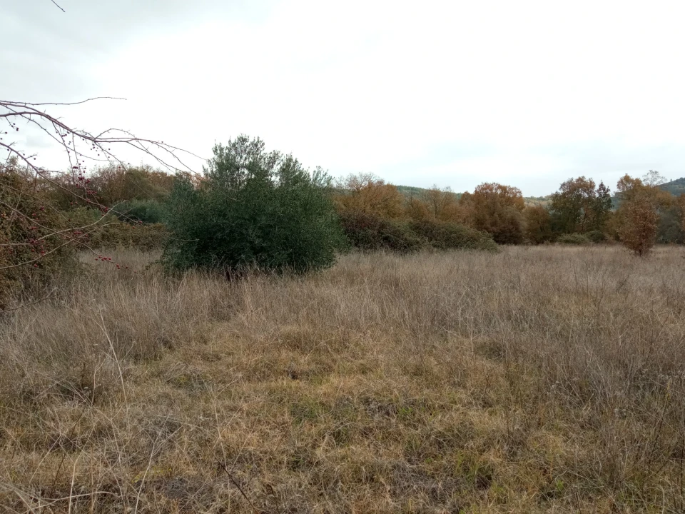 Quinta T0 para Venda em Vale da Senhora da Povoa Foto 5
