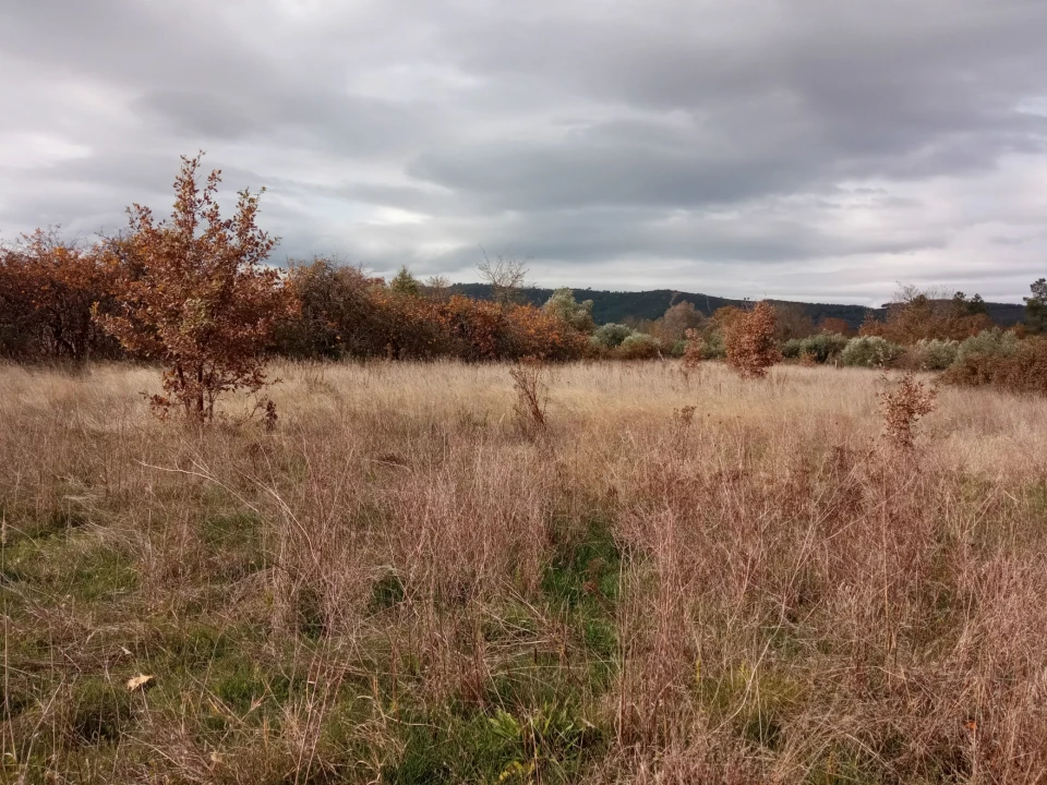 Quinta T0 para Venda em Vale da Senhora da Povoa Foto 15