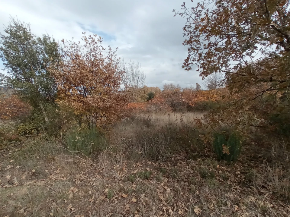Quinta T0 para Venda em Vale da Senhora da Povoa Foto 19