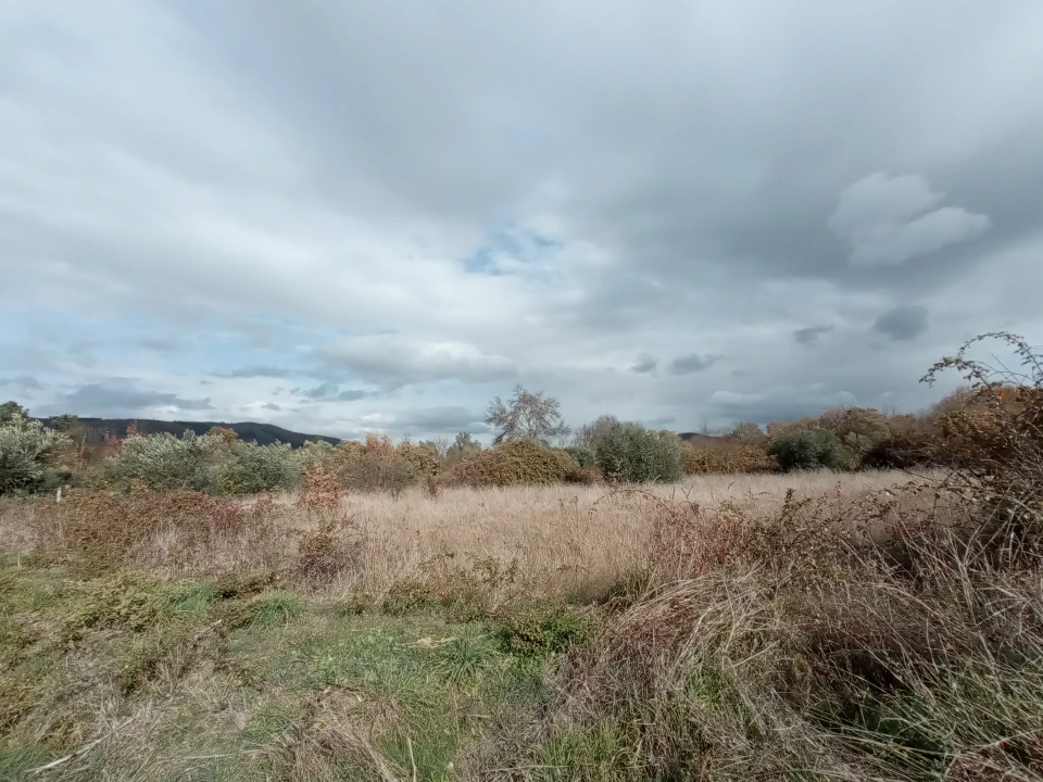 Quinta T0 para Venda em Vale da Senhora da Povoa Foto 25