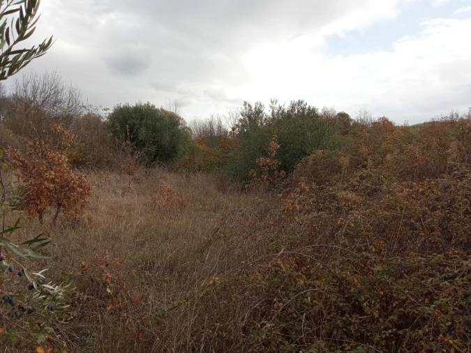 Quinta T0 para Venda em Vale da Senhora da Povoa Foto 6
