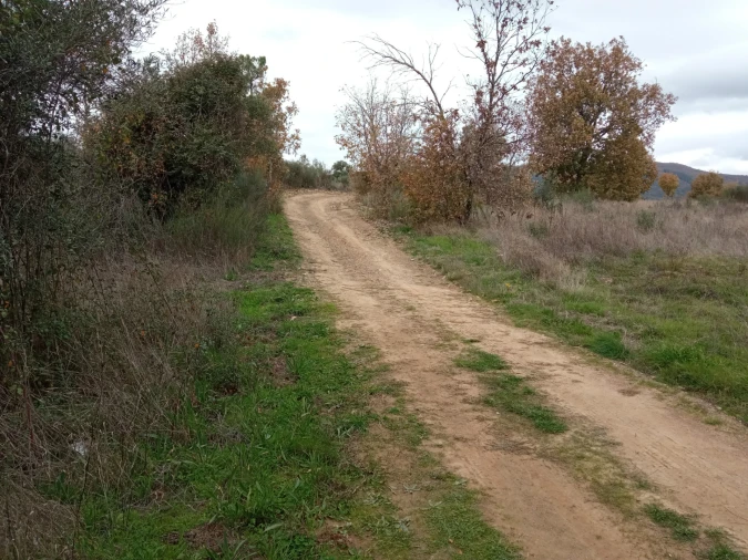 Quinta T0 para Venda em Vale da Senhora da Povoa Foto 21