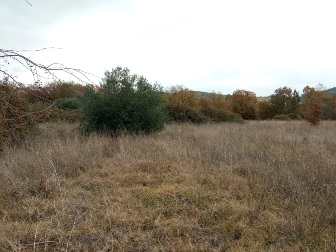 Quinta T0 para Venda em Vale da Senhora da Povoa Foto 5