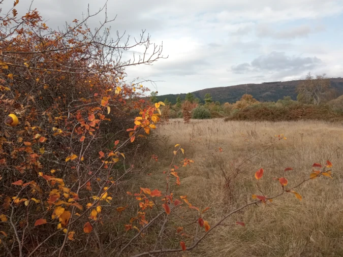 Quinta T0 para Venda em Vale da Senhora da Povoa Foto 17