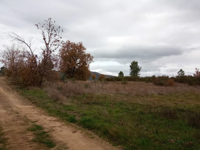 Quinta T0 para Venda em Vale da Senhora da Povoa Foto 22
