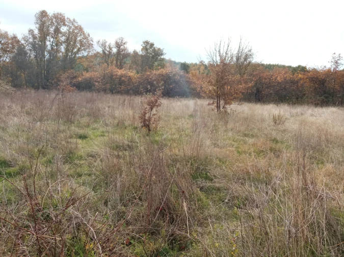 Quinta T0 para Venda em Vale da Senhora da Povoa Foto 11