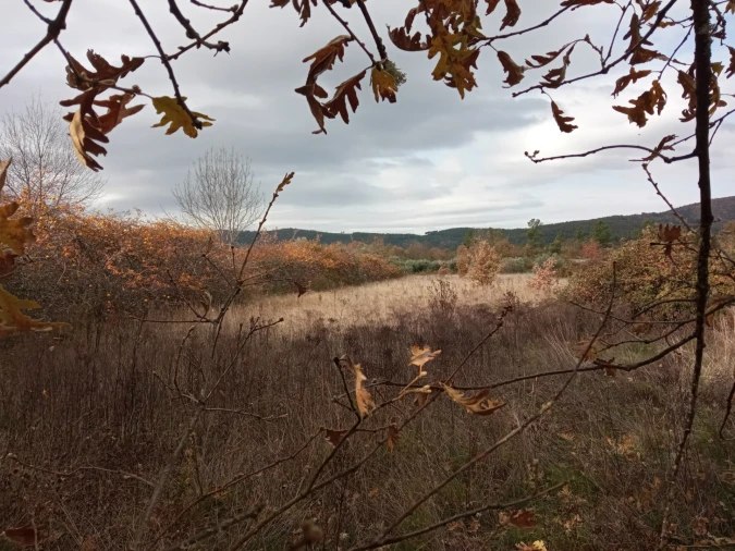 Quinta T0 para Venda em Vale da Senhora da Povoa Foto 14