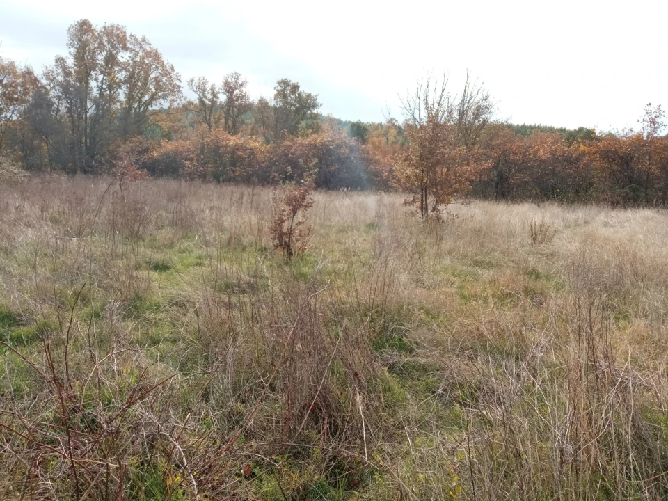 Quinta T0 para Venda em Vale da Senhora da Povoa Foto 1