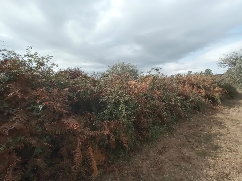 Quinta T0 para Venda em Vale da Senhora da Povoa Foto 8