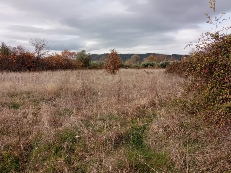 Quinta T0 para Venda em Vale da Senhora da Povoa Foto 10